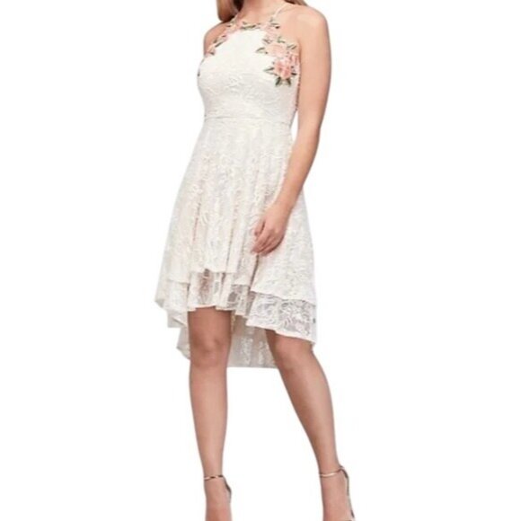 City Triangles Ivory Lace Floral Applique High-Low Sleeveless Dress Size 4 - Picture 1 of 8